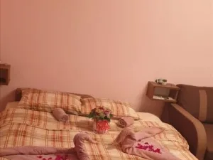 Slika 4